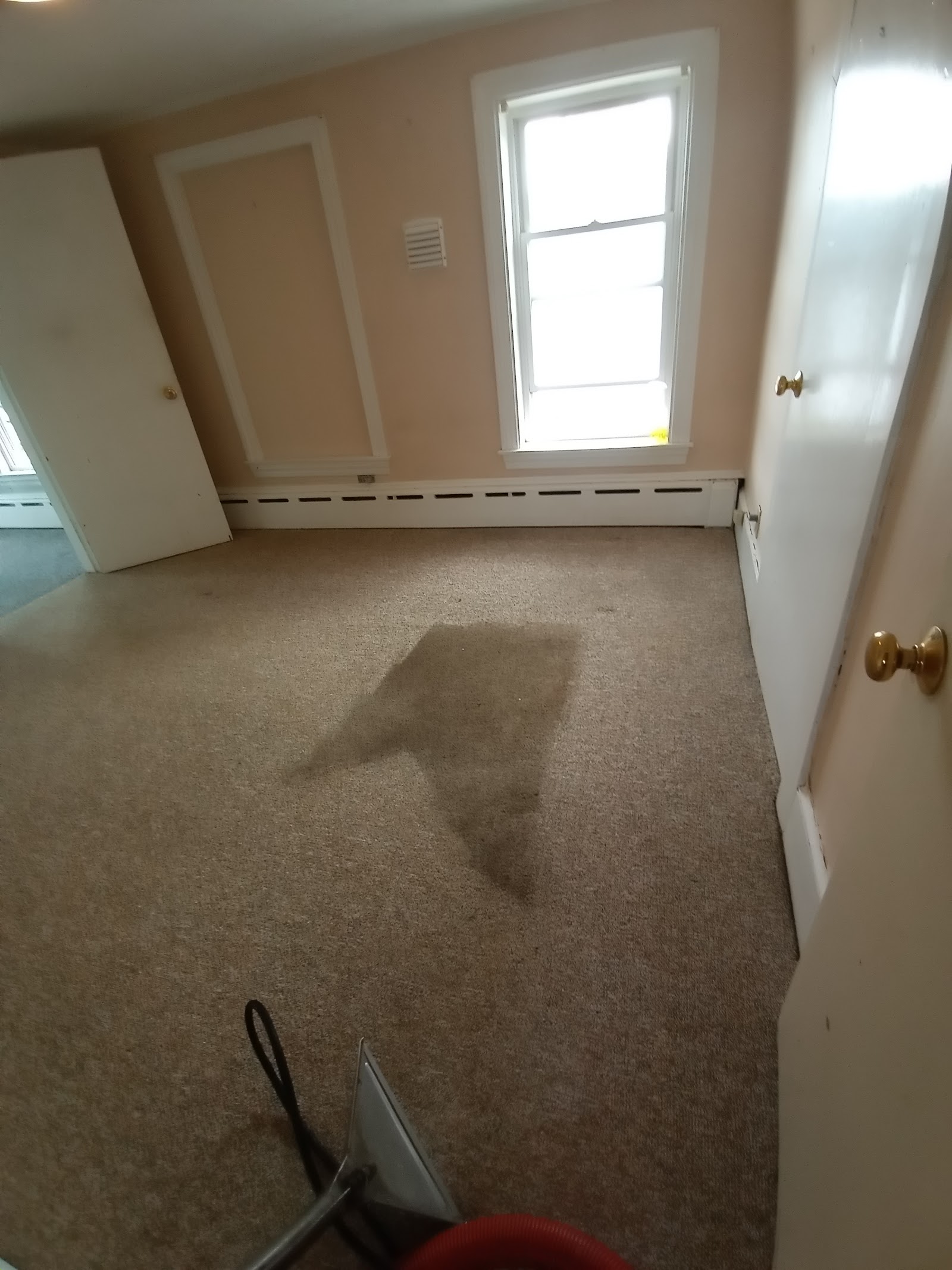 Carpet cleaning in progress in a bright residential room